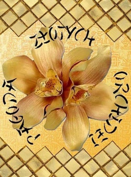 Pagoda Złotych Orchidei FCI