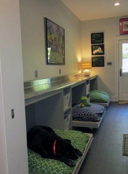 Paradiseisland Puppies