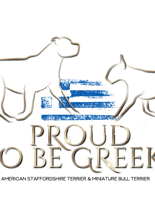 Proud to Be Greek
