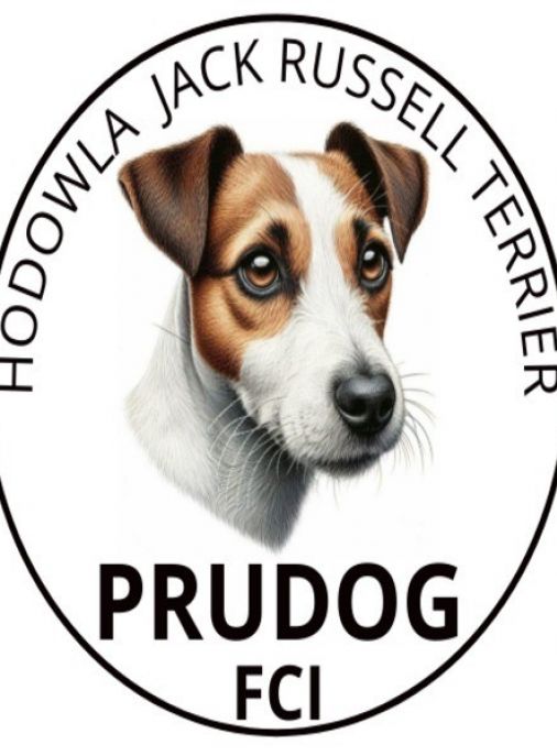 Prudog FCI