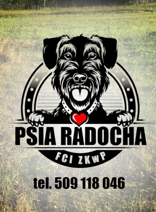 Psia Radocha FCI