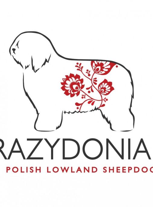 Razydonia