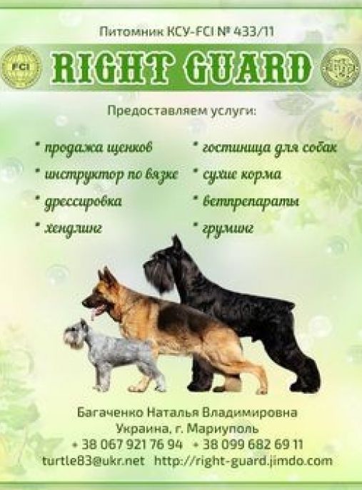 RIGHT GUARD