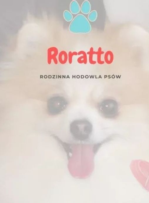 Roratto