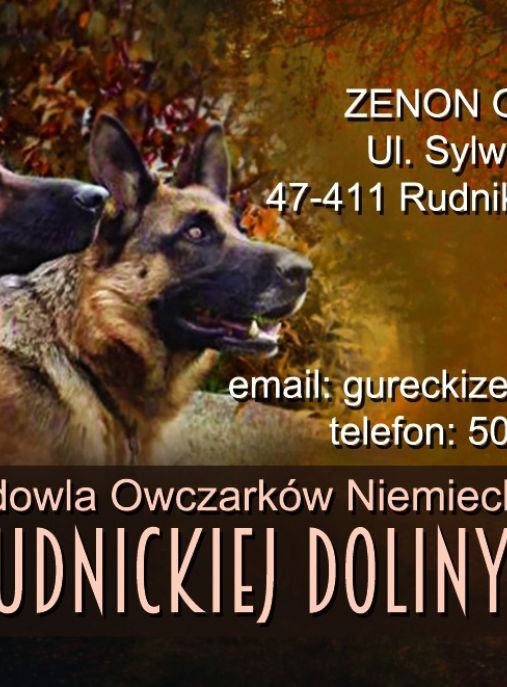 Rudnicka Dolina 