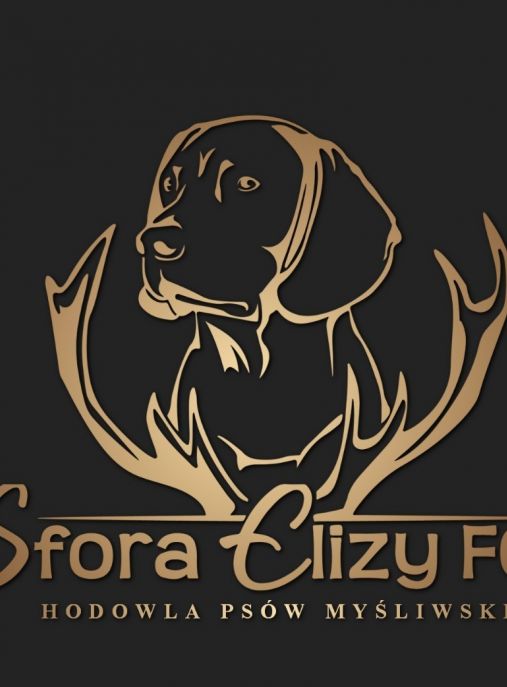 Sfora Elizy FCI 
