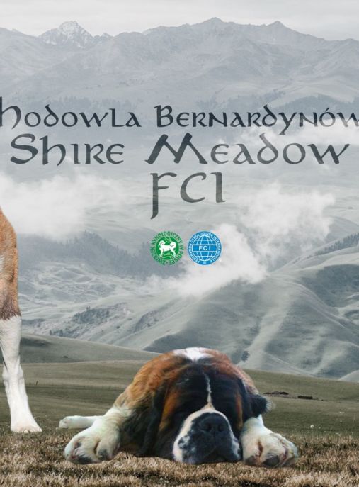 Shire Meadow FCI