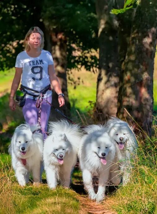 Silver from the North FCI 