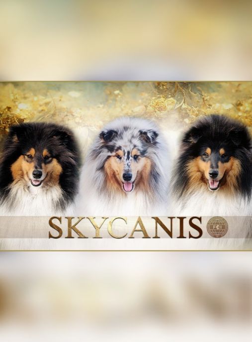 Skycanis FCI 