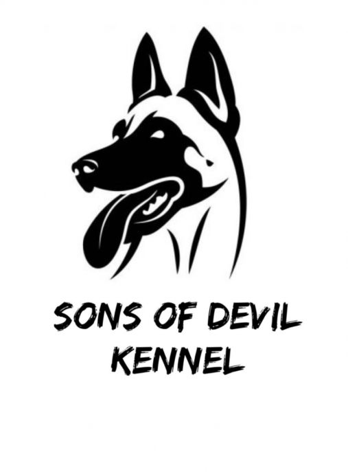 Sons of Devil 