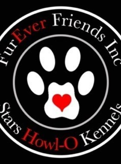 Stars Howl-O Kennels by FurEver Friends Inc