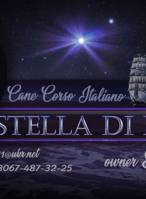 Stella Di Perla Nera