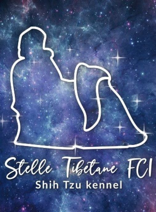 Stelle Tibetane FCI