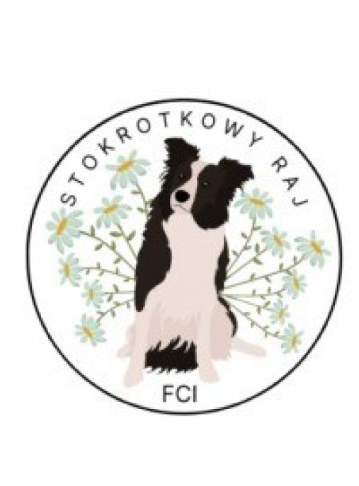 Stokrotkowy Raj FCI