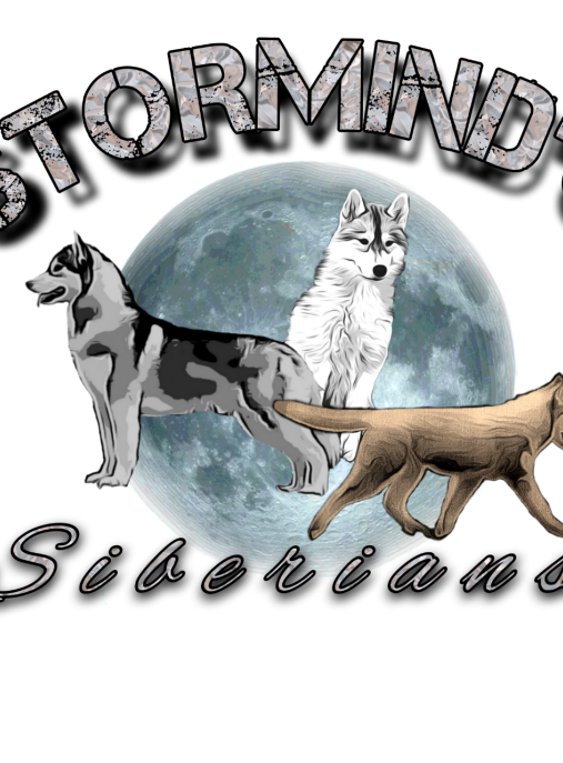 STORMINDS