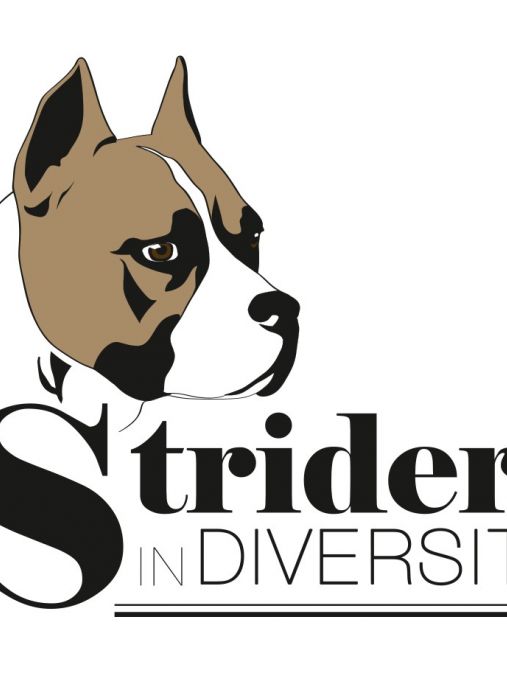 Strider in Diversity kennel