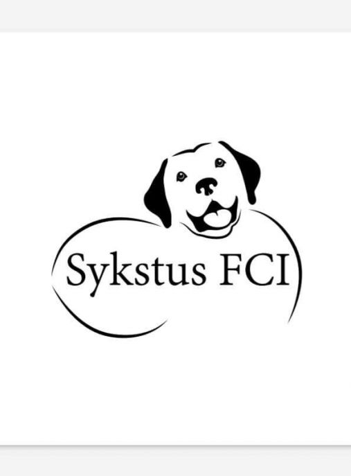 Sykstus FCI 