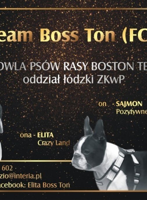 Team Boss Ton