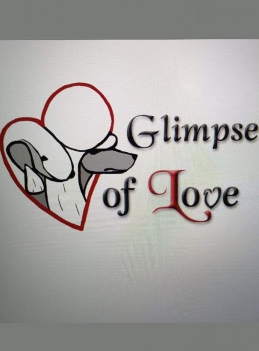 The Glimpse of Love FCI