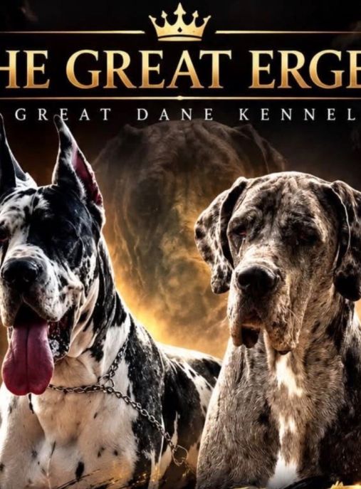 The Great Ergen 