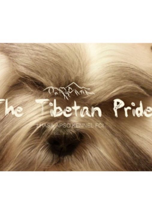 The Tibetan Pride /FCI/