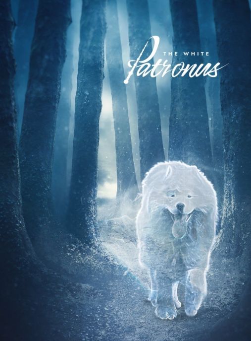 The White Patronus 