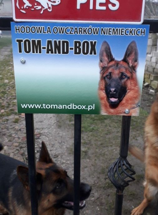 Tom-And-Box FCI