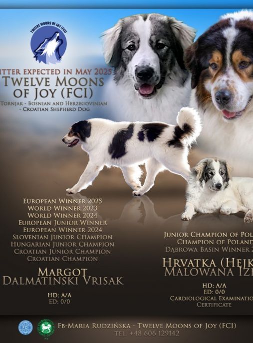Twelve Moons of Joy FCI