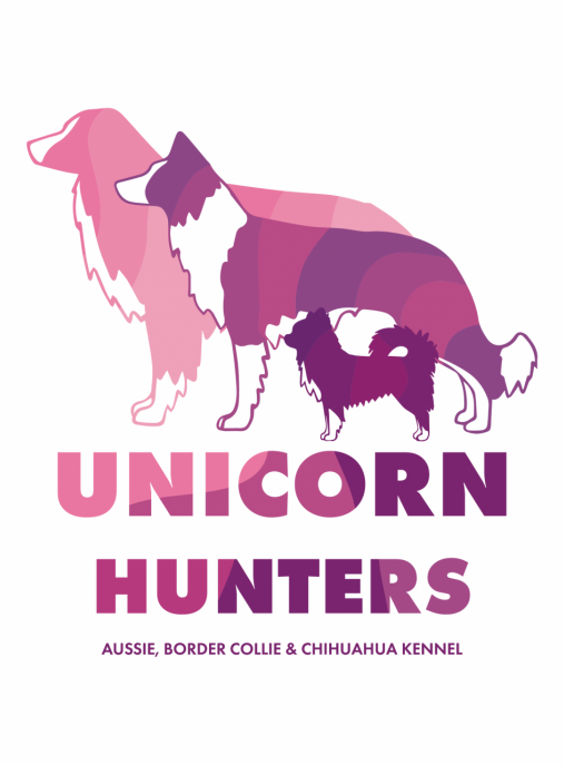 Unicorn Hunters