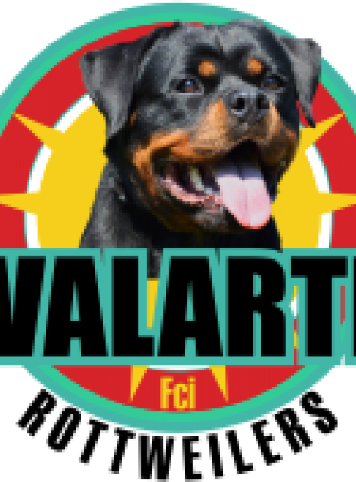 Valarti