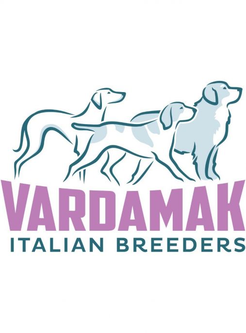 Vardamak