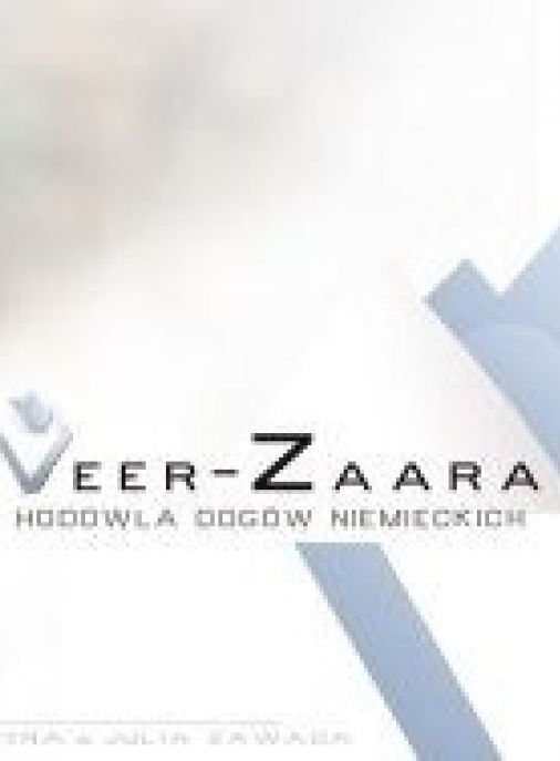 Veer-Zaara FCI 