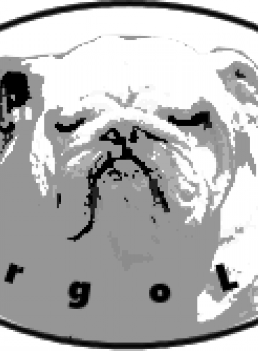 virgoleozg@gmail.com