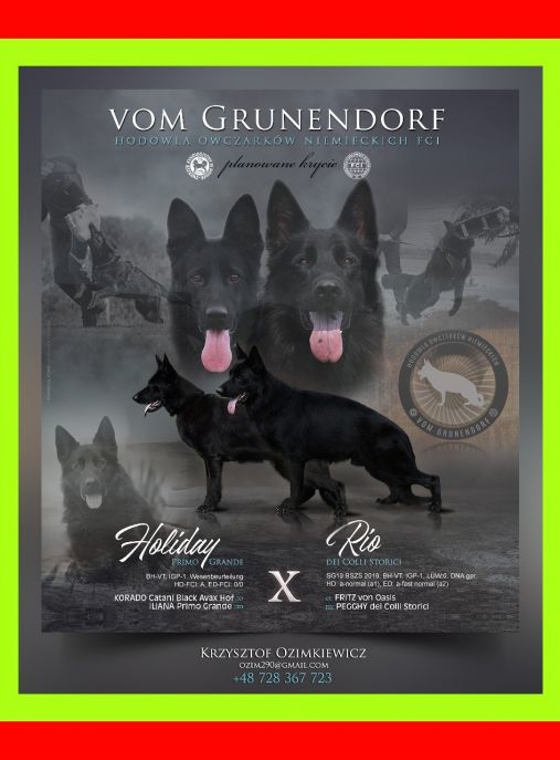 Vom Grunendorf 