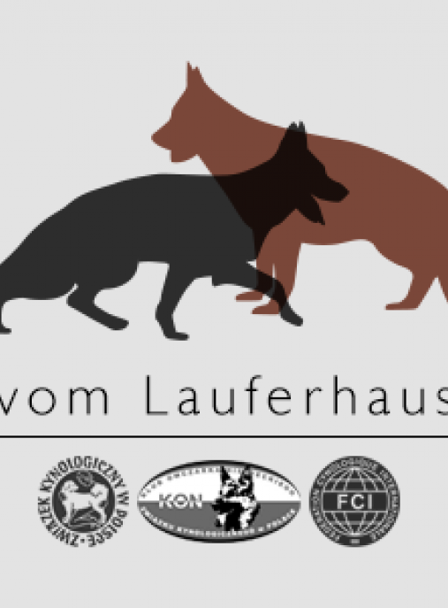 vom Lauferhaus