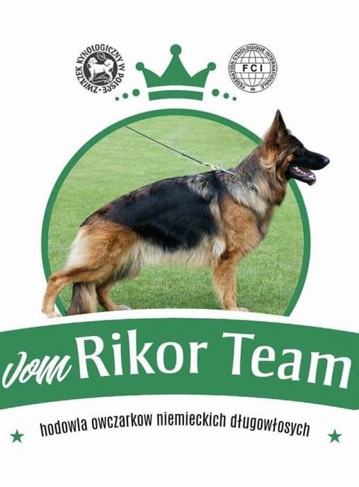 vom Rikor Team 