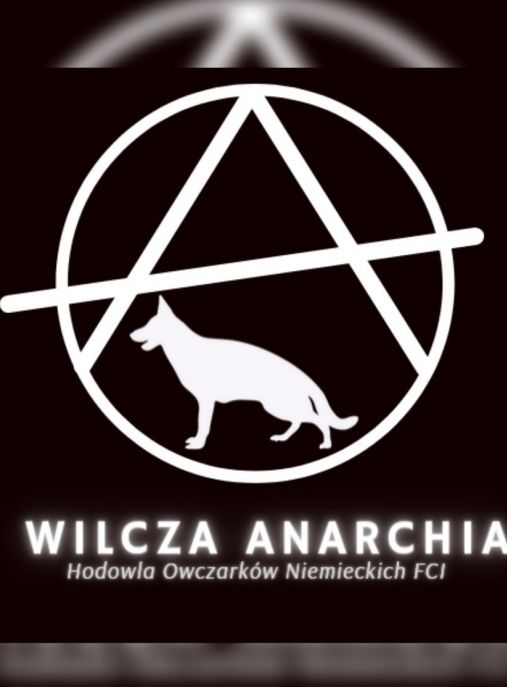 Wilcza Anarchia