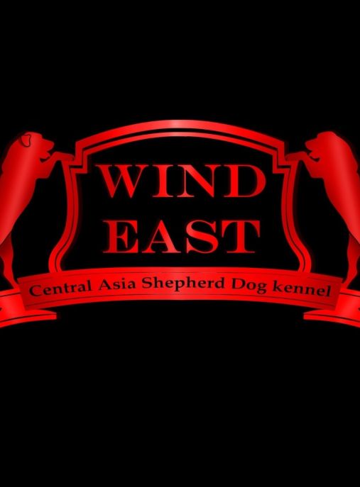 Wind East