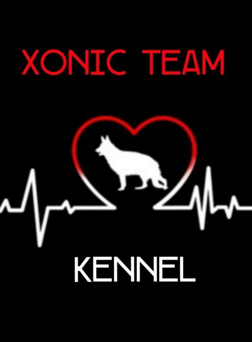  Xonic Team kennel