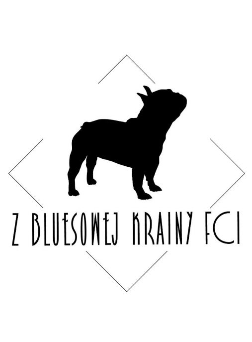 Z Bluesowej Krainy FCI