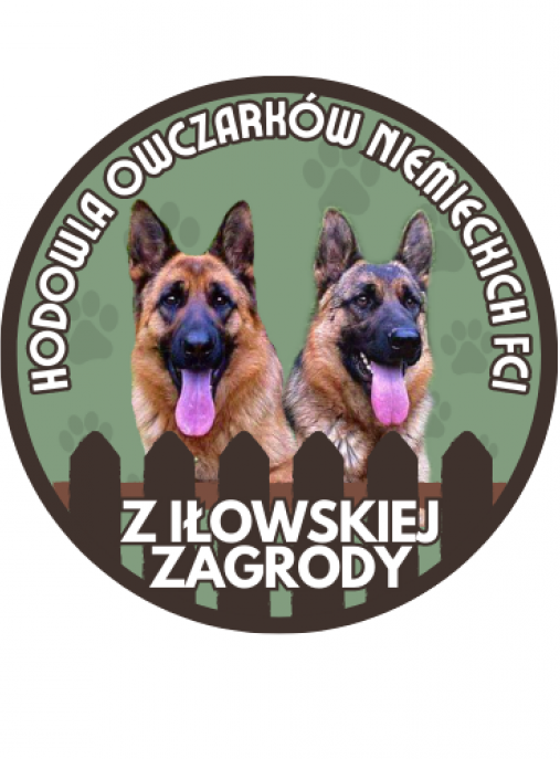 Z Iłowskiej Zagrody