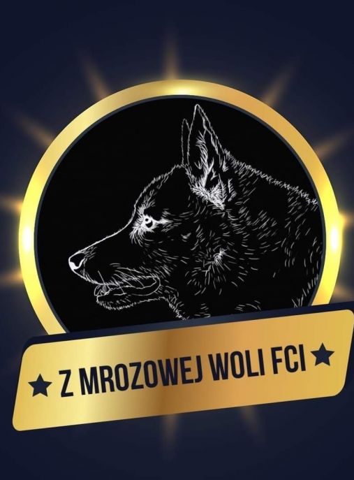 z Mrozowej Woli FCI