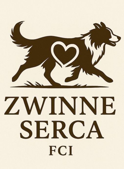  Zwinne Serca