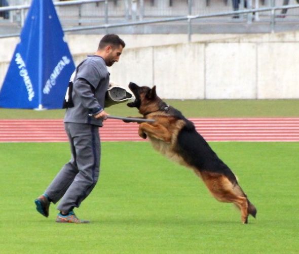  Bundessiegerzuchtschau 2019 fotorelacja