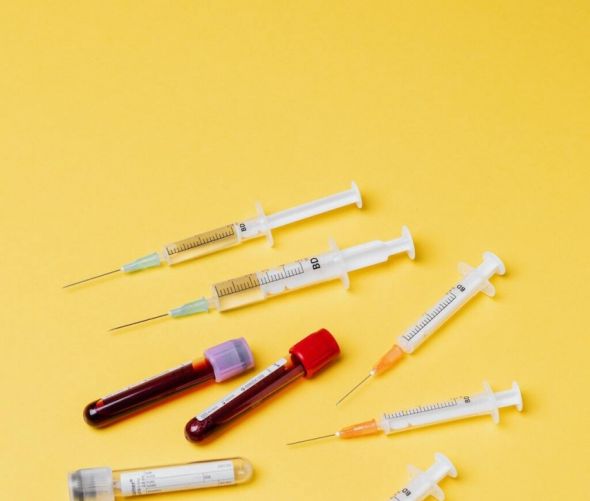 Choroby psów - najczęściej występujące schorzenia