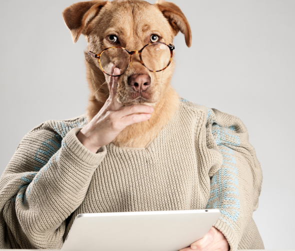 Co myśli Twój pies?