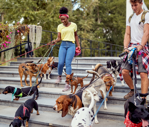 Czy warto mieć psa? Perspektywa wpływu na życie dorosłych i dzieci