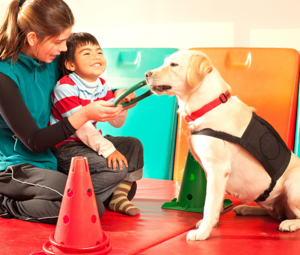 Dogoterapia: Jak psy pomagają w leczeniu i rehabilitacji ludzi ?