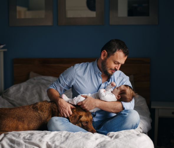 Jak przygotować psa na nadejście nowego członka rodziny?