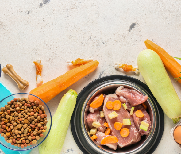 Jak wybrać idealną karmę dla swojego psa? O tym musisz wiedzieć!